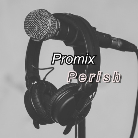 Perish | Boomplay Music