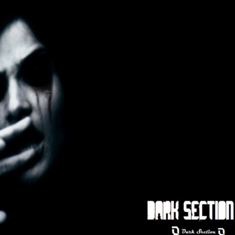Dark Section (Original Mix) ft. Manface