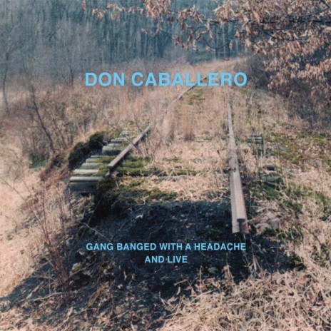 Don Caballero 3 (Live) | Boomplay Music