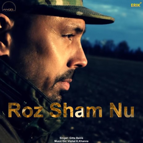 Roz Sham Nu | Boomplay Music