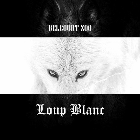 Loup blanc | Boomplay Music