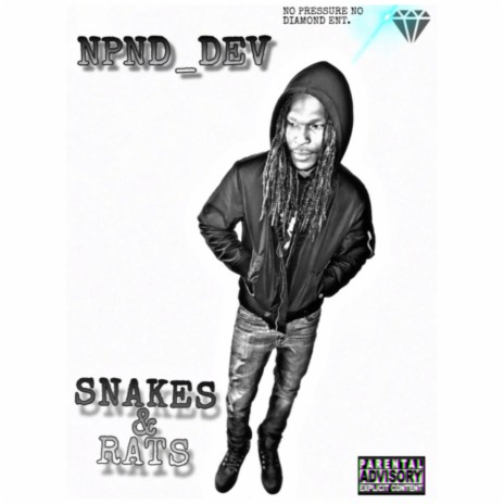 SNAKES & RATS | Boomplay Music