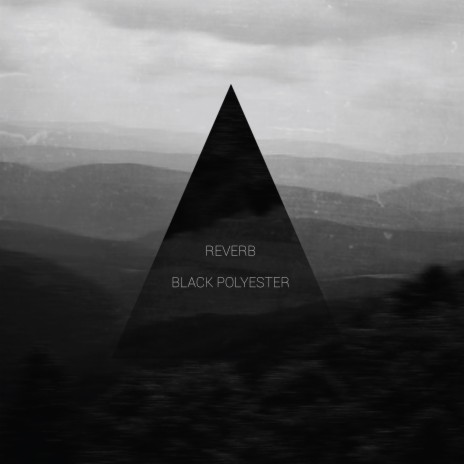 Black Polyester | Boomplay Music