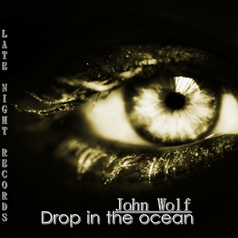 Drop In The Ocean (Original Mix) | Boomplay Music
