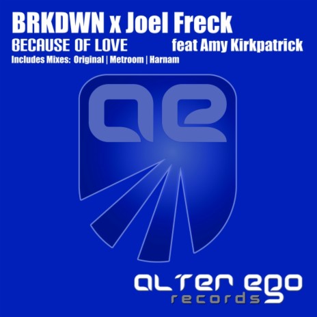 Because of Love (Harnam Radio Edit) ft. Joel Freck & Amy Kirkpatrick | Boomplay Music