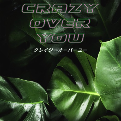 Crazy over You | Boomplay Music