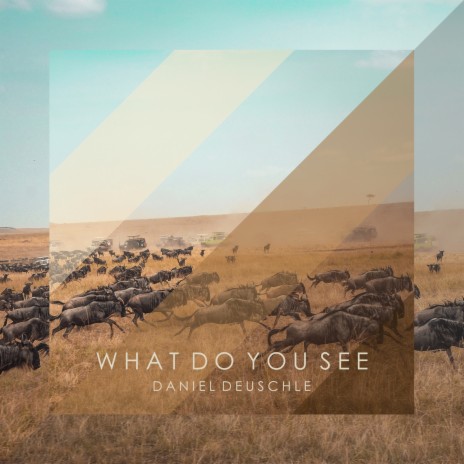 What Do You See | Boomplay Music