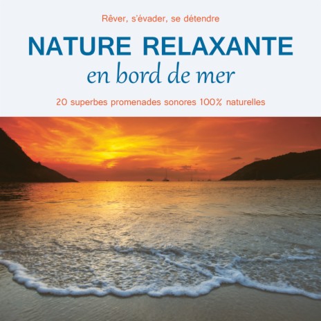 Nature relaxante - plage de sable noir | Boomplay Music