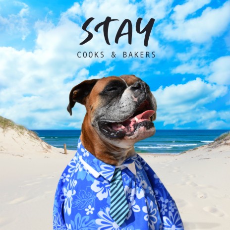 Stay | Boomplay Music