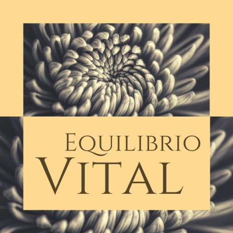 Equilibrio Vital