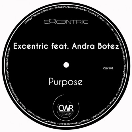 Purpose (Original Mix) ft. Andra Botez | Boomplay Music