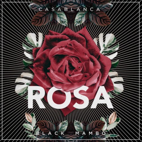 Rosa ft. Casablanca | Boomplay Music