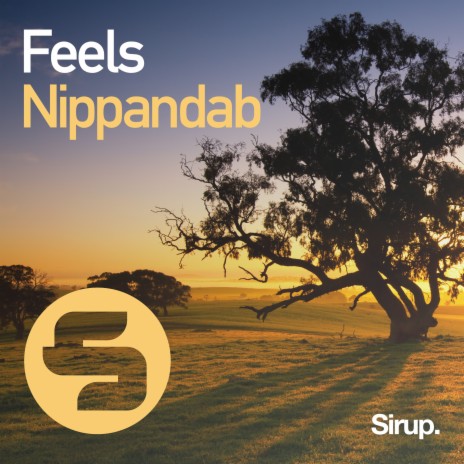 Feels (Original Club Mix) | Boomplay Music