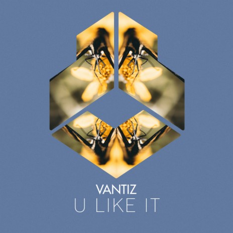 U Like It (Radio Edit) | Boomplay Music