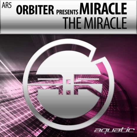 The Miracle (Radio Edit) | Boomplay Music