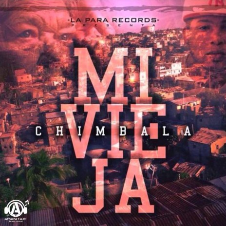 Mi Vieja | Boomplay Music