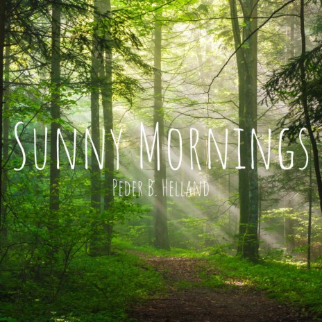 Peder B. Helland - Morning Whisper MP3 Download & Lyrics | Boomplay