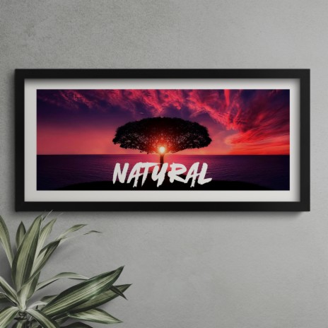 Natural | Boomplay Music