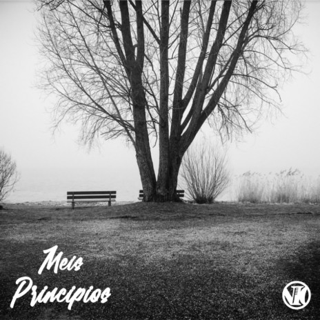 Principios | Boomplay Music