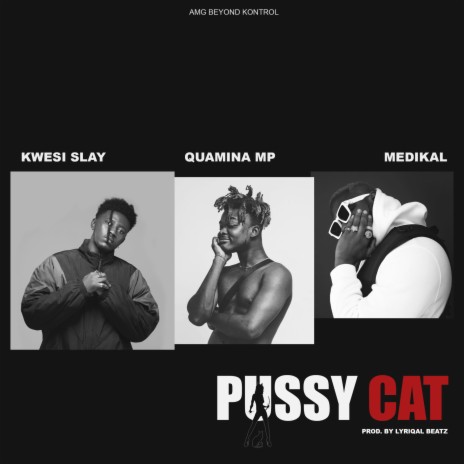 Pussy Cat ft. Quamina MP & Medikal