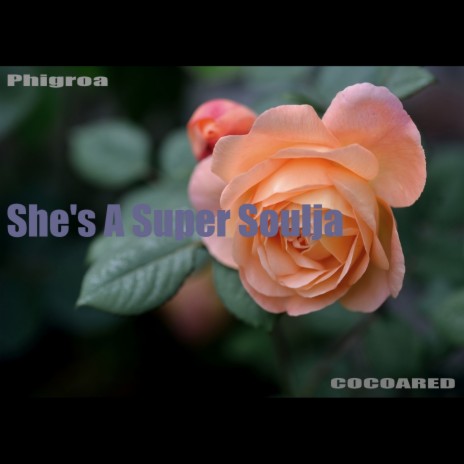 She's A Super Soulja ft. Phigroa | Boomplay Music
