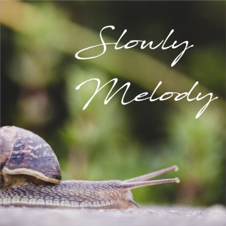 Slowly Melody ft. Dj Freccia, Fabrizio Pendesini & Filos | Boomplay Music