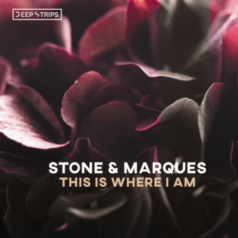 This Is Where I Am (Original Mix) ft. Bruno Marques | Boomplay Music