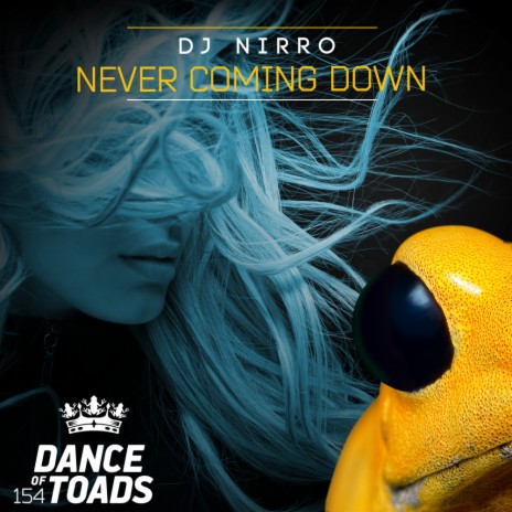 Never Coming Down (Extended Mix) | Boomplay Music