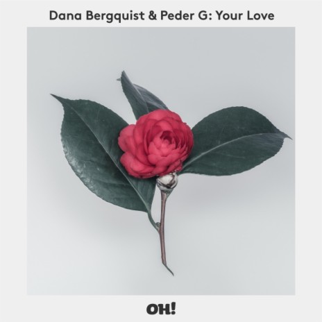 Your Love (Benjamin Fröhlich Remix) ft. Peder G | Boomplay Music