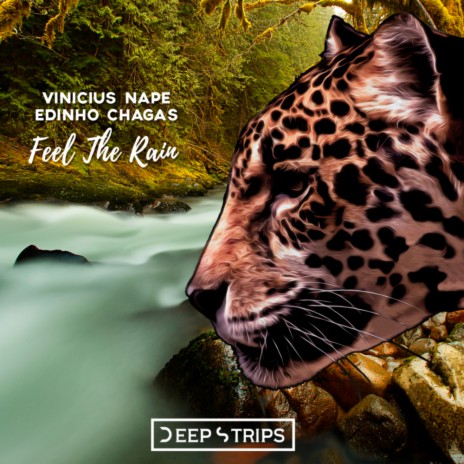 Feel The Rain (Original Mix) ft. Vinicius Nape