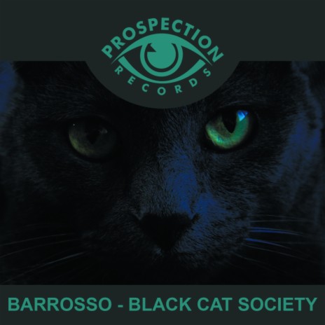 Black Cat Society (Original Mix) | Boomplay Music