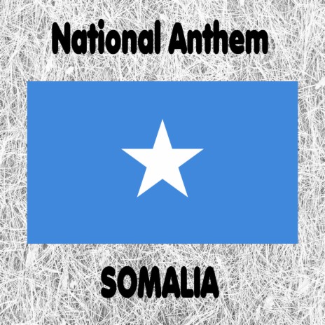 Somalia - Qolobaa Calankeed - Qolobaa Calenkeedu Waa Coynoo - Somali National Anthem (Praise to the Flag) Instrumental | Boomplay Music