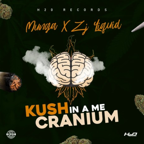 Kush in a Me Cranium ft. ZJ Liquid | Boomplay Music