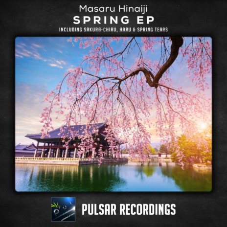 Spring Tears (Original Mix) | Boomplay Music