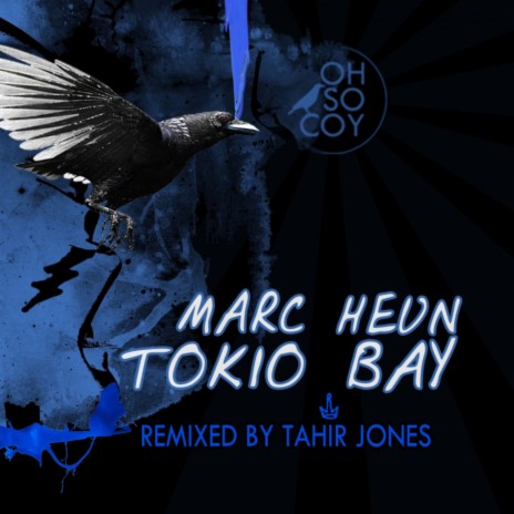 Tokio Bay (Tahir Jones Dub Mix) | Boomplay Music