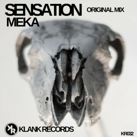 Sensation (Original Mix)