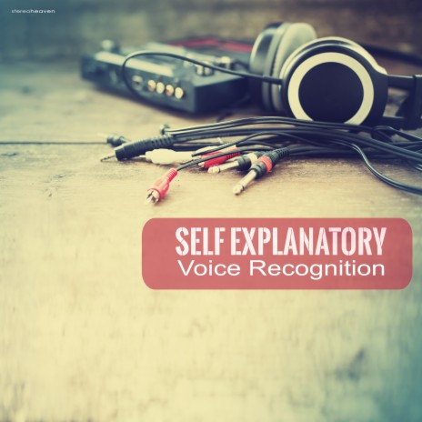 Voice Recognition | Boomplay Music