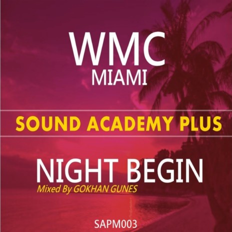 WMC Miami Night Begin (Continuous Dj Mix)