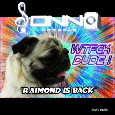 Raimond Is Back (Original Mix) | Boomplay Music