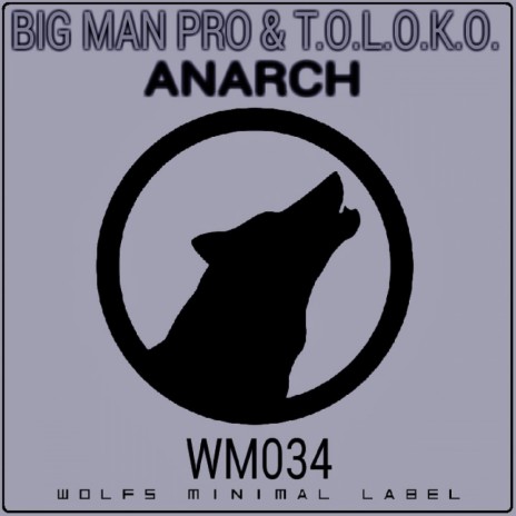 Anarch (Original Mix) ft. T.O.L.O.K.O. | Boomplay Music