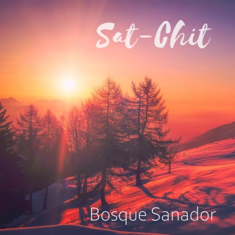 Bosque Sanador | Boomplay Music