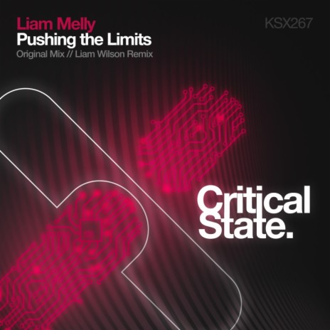 Pushing The Limits (Original Mix) | Boomplay Music