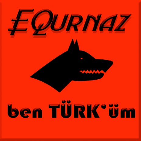 Ben Türküm | Boomplay Music
