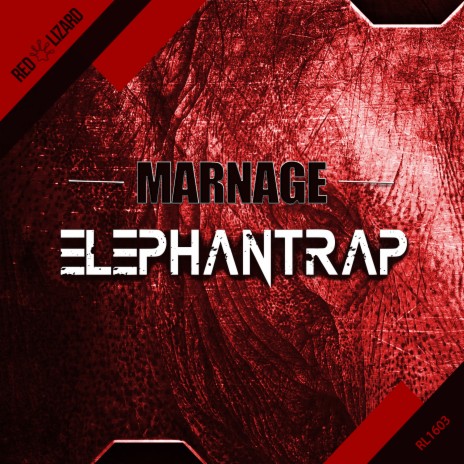 Elephantrap | Boomplay Music