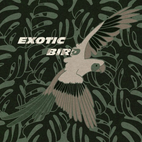 Exotic Bird | Boomplay Music