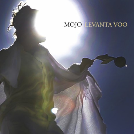 Levanta Voo | Boomplay Music