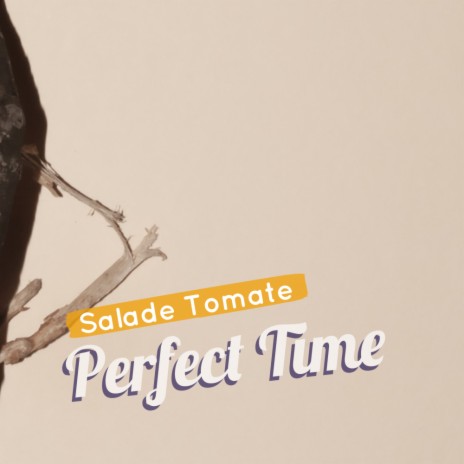 Perfect Time (Original Mix)