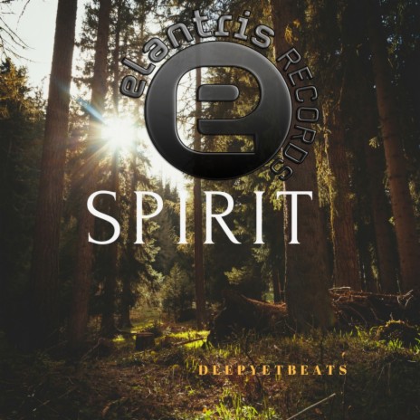 Spirit (Original Mix) | Boomplay Music