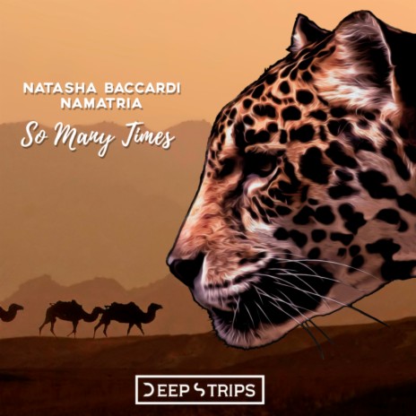 So Many Times (Original Mix) ft. Namatria | Boomplay Music
