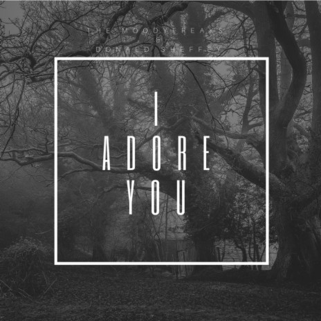 I Adore You (Original Mix) ft. Donald Sheffey | Boomplay Music